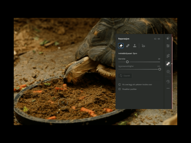 Redigering av bilder i Adobe Lightroom 7 Fjern flekker eller andre ting du ikke vil ha i bildet - Adobe Lightroom Redigering - Foto av Kenneth Hauen