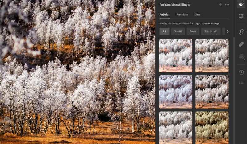 Redigering av bilder i Adobe Lightroom 5 Adobe Lightroom Redigering - Foto av Kenneth Hauen